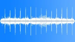 Gulls and WavesSound Effect