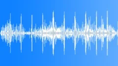 Gulls Calling at the ShoreSound Effect