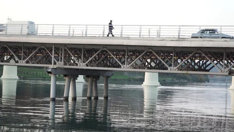 Gulls fly over the river water - fighting for food Stock Footage 82474590