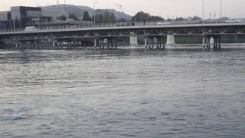Gulls fly over the river water - fighting for food Stock Footage 82474656