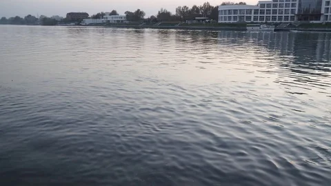 Gulls fly over the river water - fighting for food Stock Footage 82474885