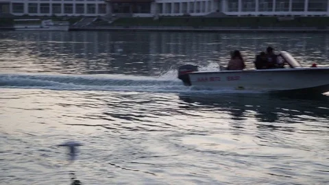 Gulls fly over the river water - fighting for food Stock Footage 82474897