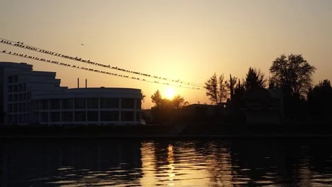 Gulls fly over the river water - fighting for food Stock Footage 82475281