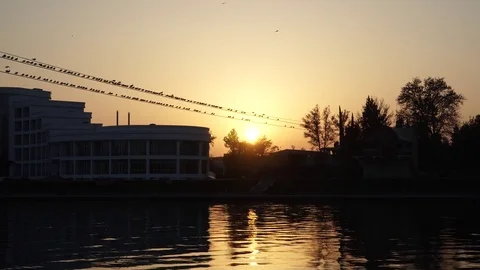 Gulls fly over the river water - fighting for food Stock Footage 82475289