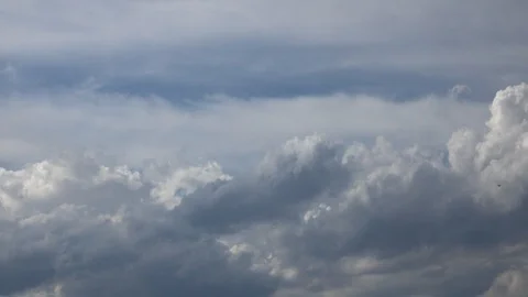 Gulls flying on the background of dramatic clouds Stock-Footage 90073683
