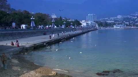 Gulls flying on the coast of Yalta Stock Footage 35190225