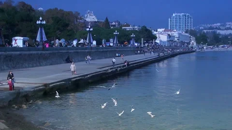 Gulls flying on the coast of Yalta Stock Footage 35190253