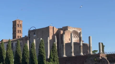 Gulls flying over ancient roman architecture Stock Footage 194824670