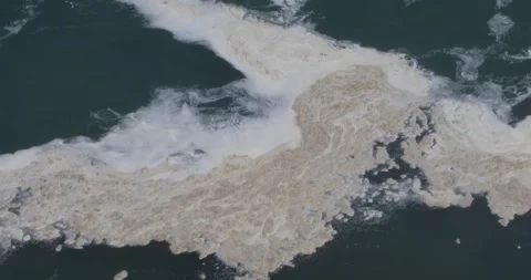 Gulls flying over a floating mass of dirty waterfall foam on dark water. Stock Footage 320026069