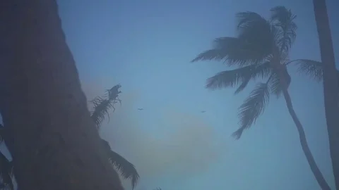 Gulls flying in the sky Stock Footage 72010127