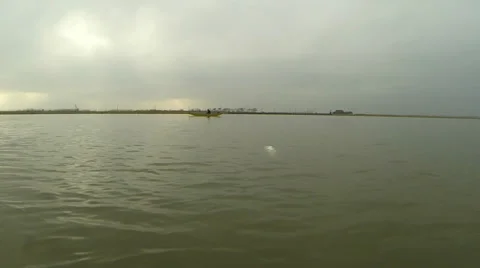 Gulls Video stock 35921585