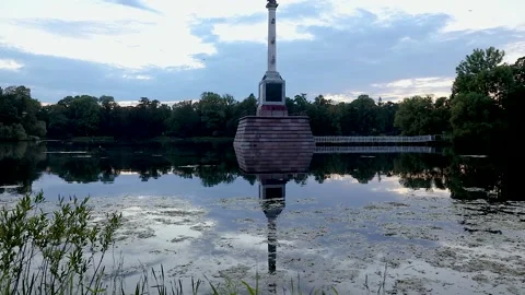 Gulls Video stock 157601754