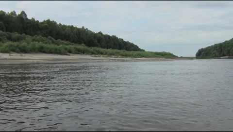 Gulls, river Stockbeeldmateriaal 31551295