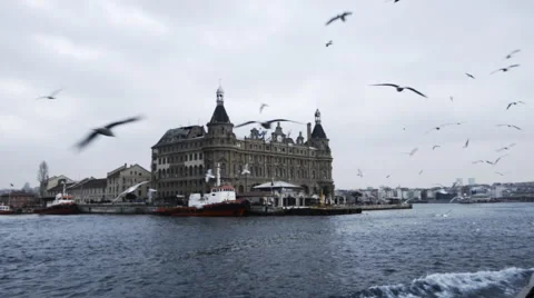 Gulls on the sea background Stockbeeldmateriaal 62504398