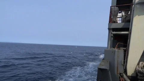 Gulls at the side Vídeo Stock 79905271