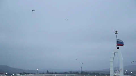 Gulls in the sky above the ferry deck Stock Footage 60563548