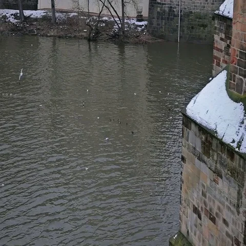 Gulls under a bridge. Stock Footage 69425558