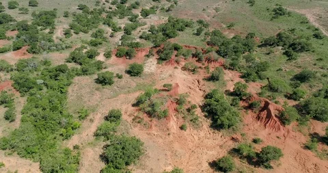 Gully erosion in red soil seen from the sky aerial 4K Stock-Footage 85958924