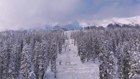 Gulmarg cable ride captured from above the forest roof. Stock Footage 311946599