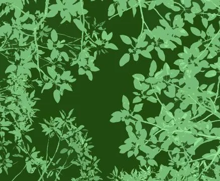Gum leaves backdrop Stock Illustration