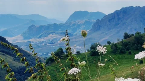 Gumbashi Pass, the highest mountain pass in Russia. Stock Footage 272574169