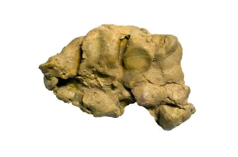 Gumbo Clay in Drilling Stock Photos