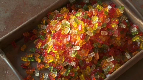 Gummi Bears Video stock 524999