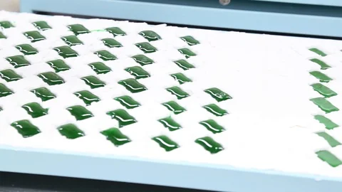 Gummy bear molds being filled with green gelatin Stock Footage 112308917