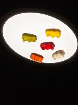 Gummy bears on backlit round light Photos