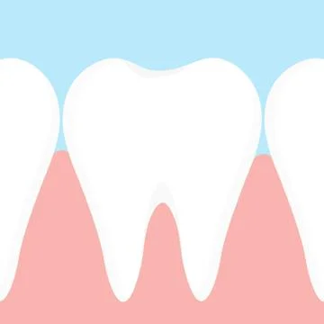 Gums and teeth Stock Illustration