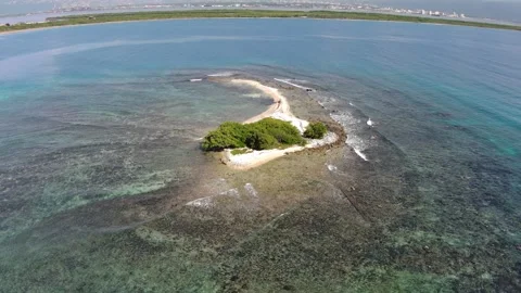 Gun Cay Stock Footage 260573802