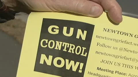 Gun Control Protester Stock-Footage 14808917