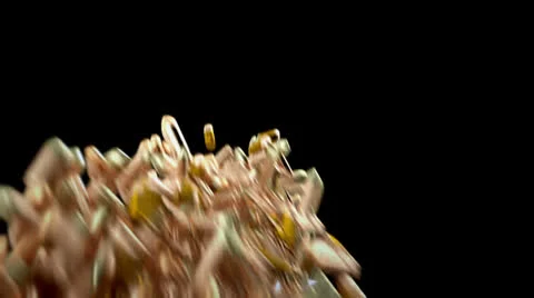 Gun control stock 2 Stock Footage 22870709