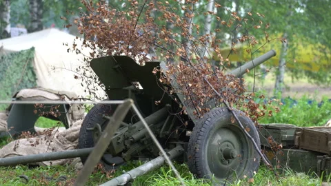 A Gun 動画素材 112752612