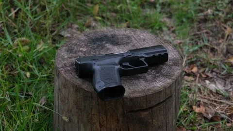 Gun on log Stock Footage 168760018