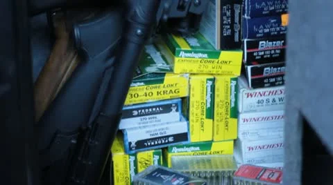 Gun safe pan up Видео 21802922