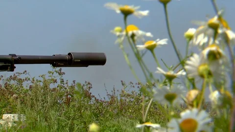 The gun shoots in the field Stock Footage 81622066