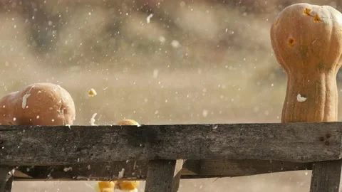 Gun shot into the pumpkins and melon. Falling of the pumpkins and melon and Stock-Footage 169292779