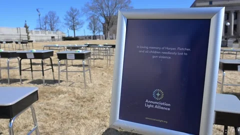 Gun violence display on the grounds of the capitol in Minnesota 库存影片 330376844