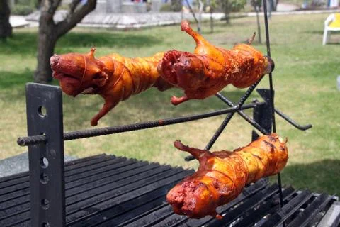 Gunea pigs Stock Photos