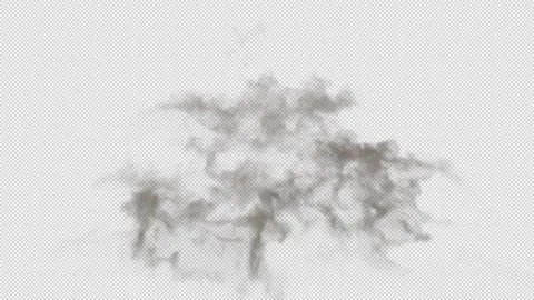 Gunfire 動画素材 245326476