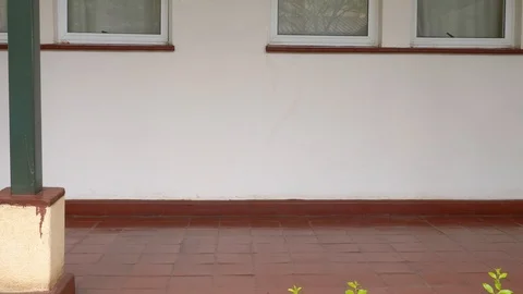 Gunman walking down school corridor with a hand gun Video stock 106962720