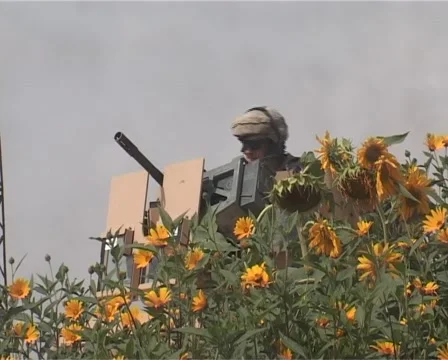 Gunner behind flowers Stock Footage