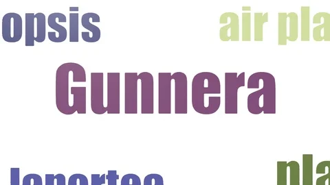 Gunnera Wordcloud Animated Isolated On White Stock Footage 103562735