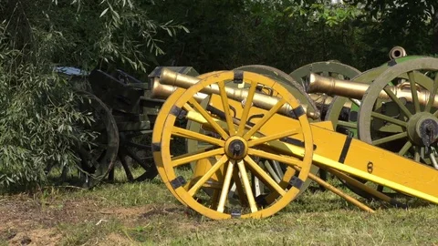 Guns of Napoleon's Army Video stock 84689906
