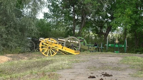 Guns of Napoleon's Army Video stock 84690684