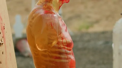 Gunshooting silicone dummy of human upper body, ballistic expertise Stock Footage 138244351