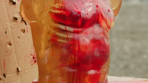 Gunshooting silicone dummy of human upper body, ballistic expertise Stock Footage 138244598