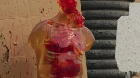 Gunshooting silicone dummy of human upper body, ballistic expertise Stock Footage 138245247