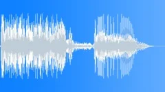 Gunshot Shotgun Single ShotSound Effect